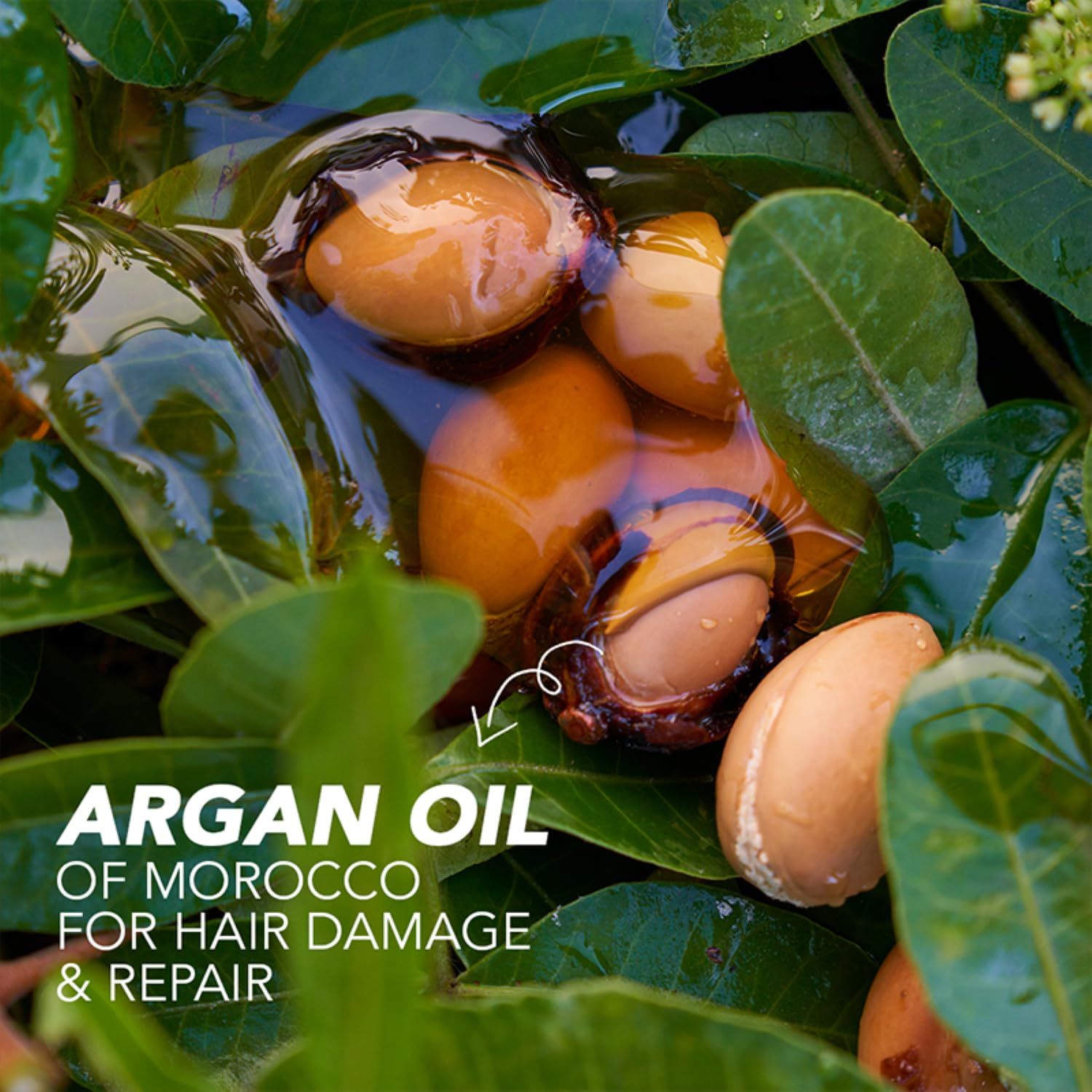 Herbal Essences bio:renew Argan Oil of Morocco Shampoo 400ml